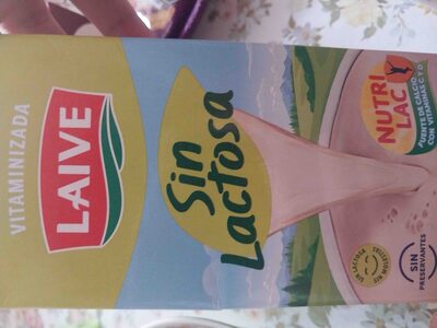 LAIVE LECHE S/LACTOSA X 480ML